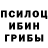 Галлюциногенные грибы GOLDEN TEACHER Mariana Braganca
