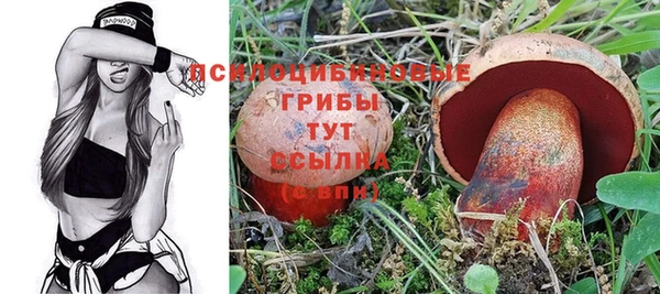 тгк Алексин