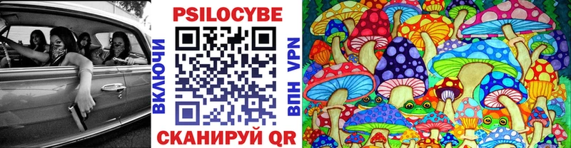 кракен маркетплейс Тавда Галлюциногенные грибы Psilocybe