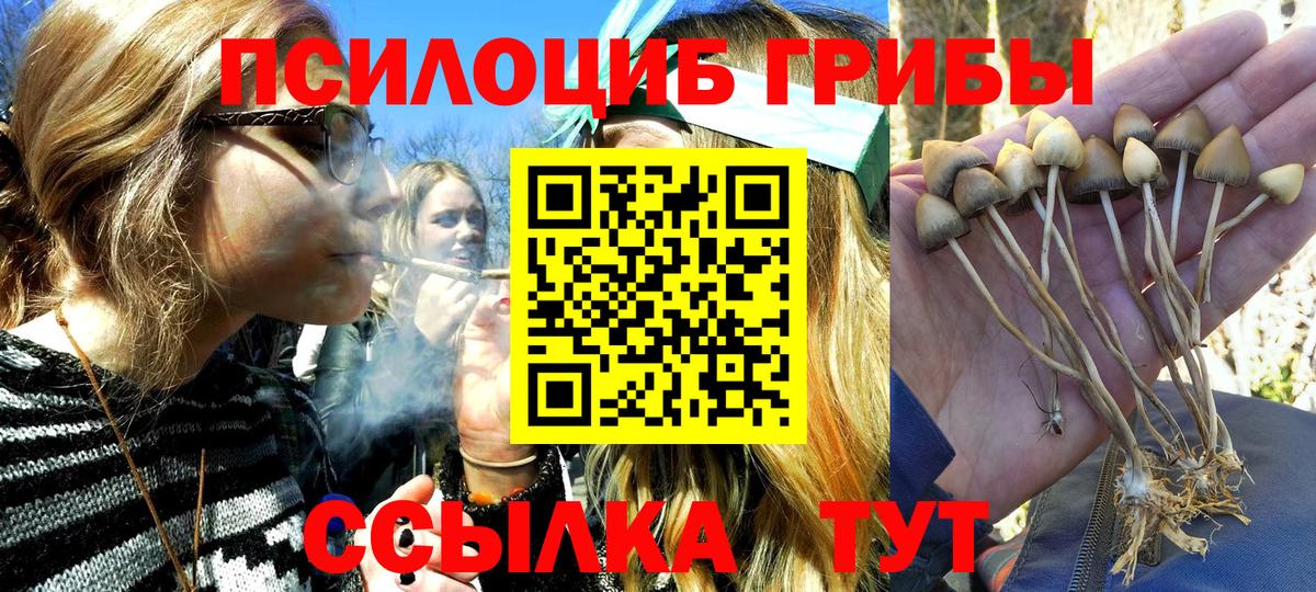 Псилоцибиновые грибы Magic Shrooms Тавда