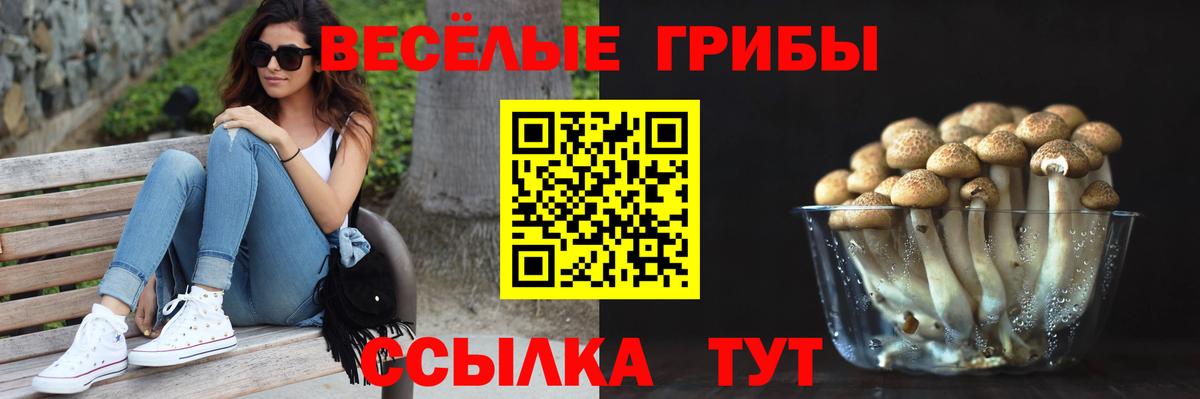 Тавда  Галлюциногенные грибы мицелий  Вход с VPN 